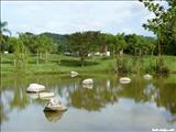 Jardín Botánico de Caguas - CAGUAS